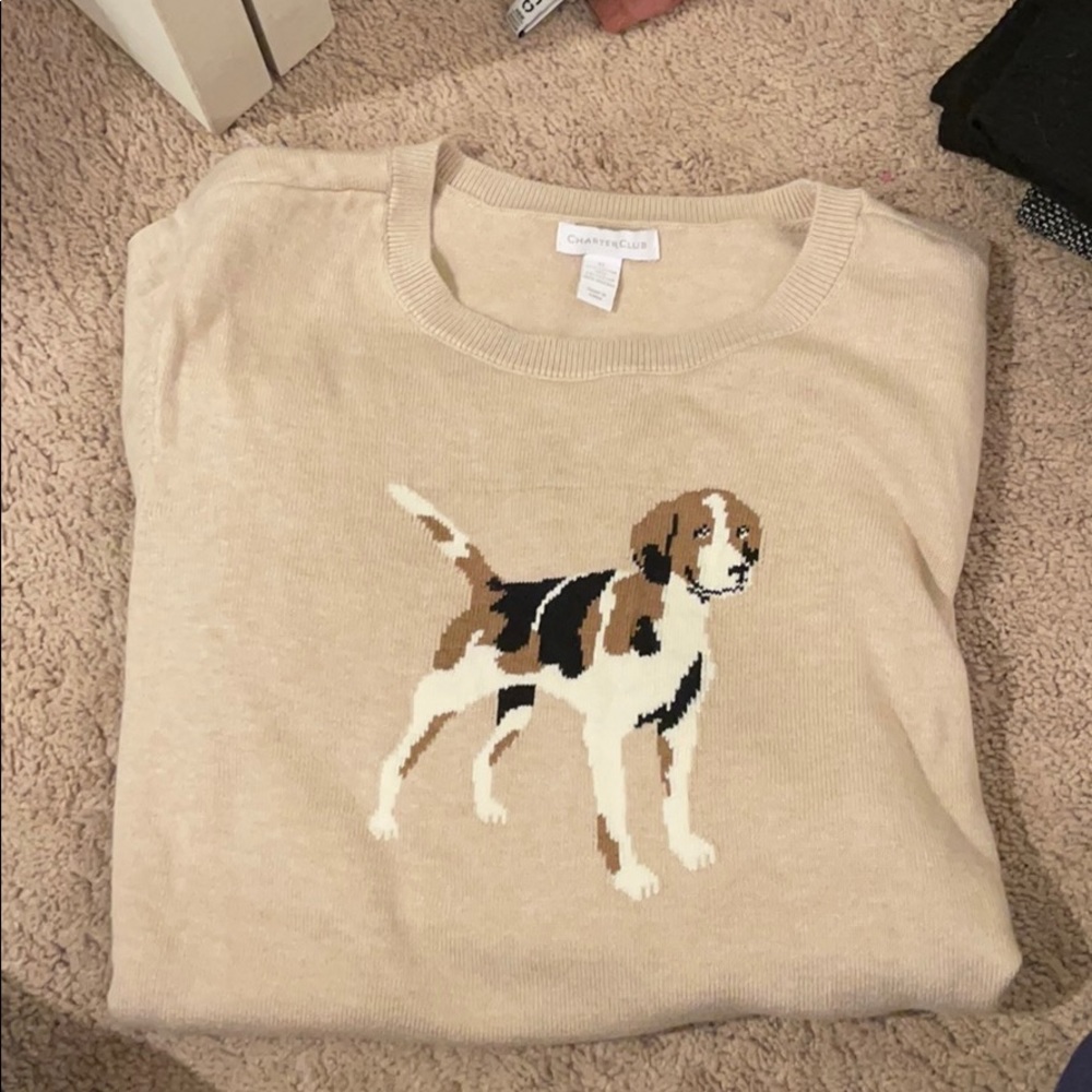 Beagle sweater